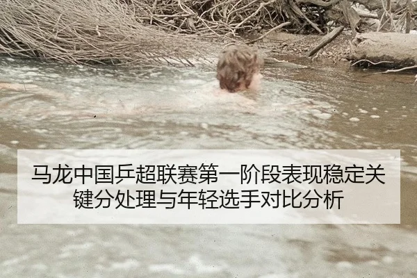 马龙中国乒超联赛第一阶段表现稳定关键分处理与年轻选手对比分析